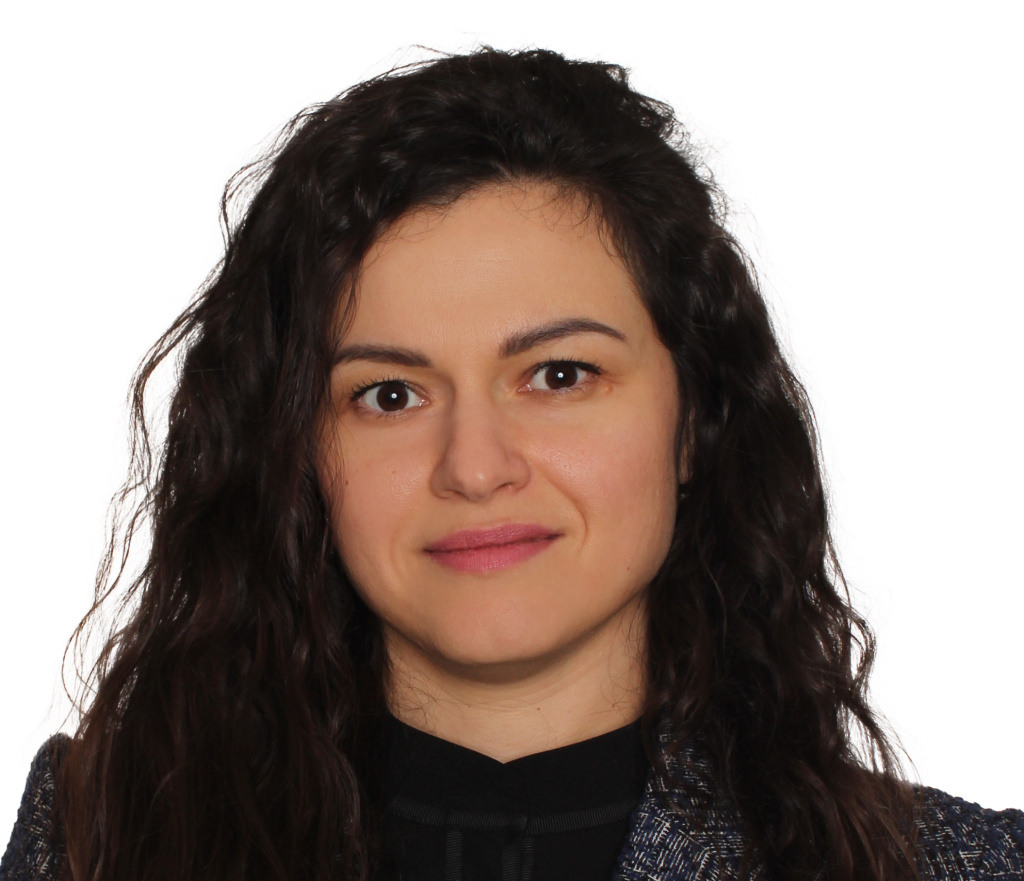Елена Минкина мозен - гор.jpg
