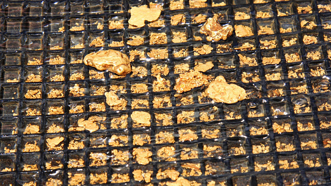 Старатели Приамурья завершили сезон с результатом 7 530 кг россыпного золота