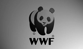 Экологические программы ПАО "ММК" получили высокую оценку экспертов WWF