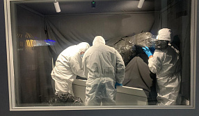 «Селигдар» и СВФУ на ВЭФ-2025 представит самого древнего мамонтенка «Селигдар» и СВФУ на ВЭФ-2025 представит самого древнего мамонтенка
