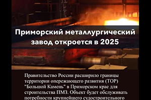 Приморский металлургический завод откроется в 2025